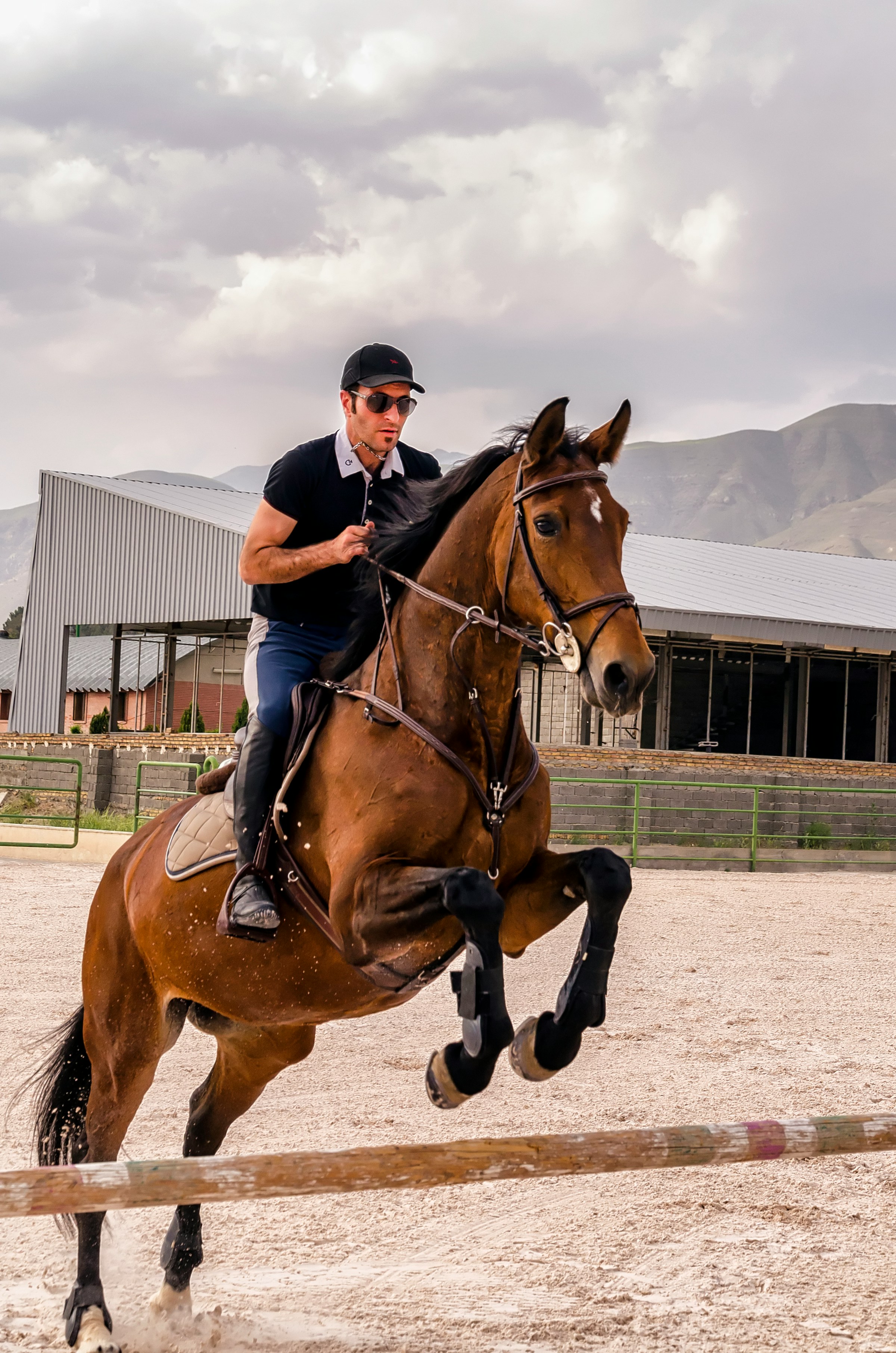 Equestrian jumping