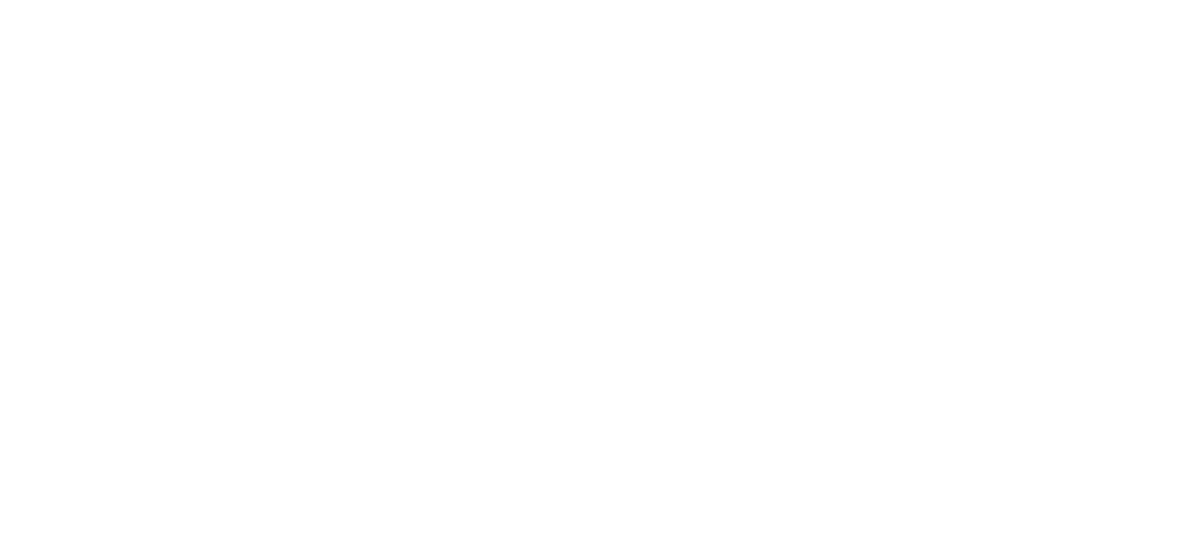 Blaze Equine Marketing